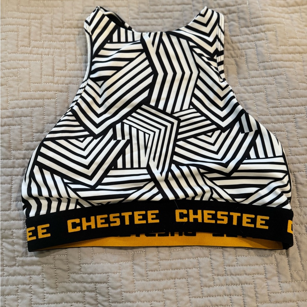 The Chestee Black and White Sports Bra